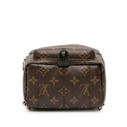 Louis Vuitton Monogram Mini Palm Springs