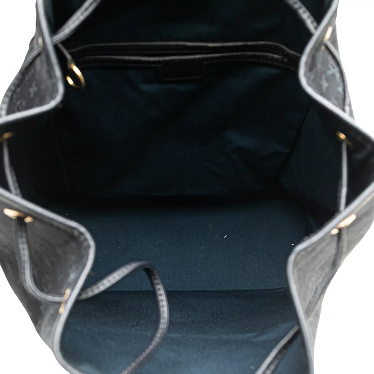 Louis Vuitton Monogram Mini Lin Montsouris GM