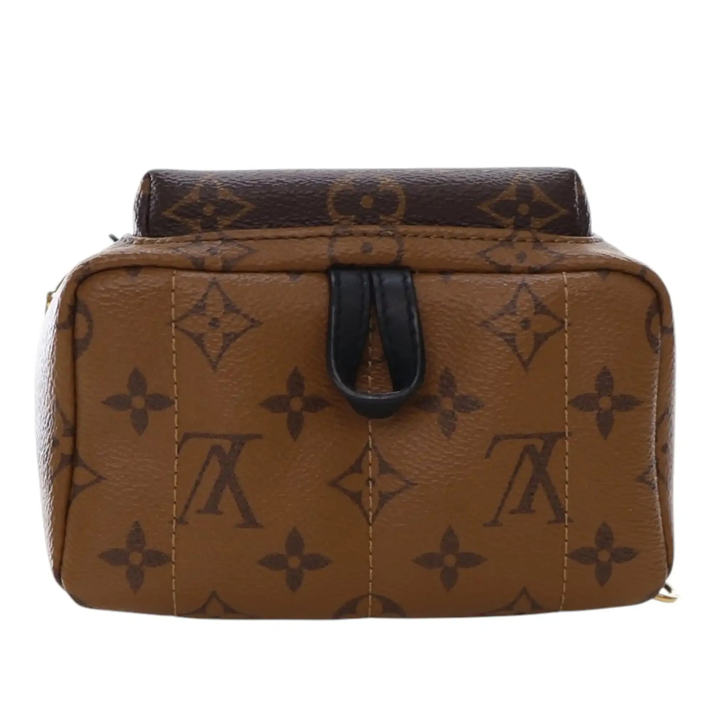 Louis Vuitton Monogram Reverse Mini Palm Springs