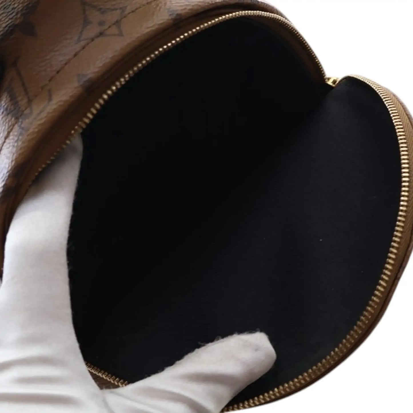 Louis Vuitton Monogram Reverse Mini Palm Springs
