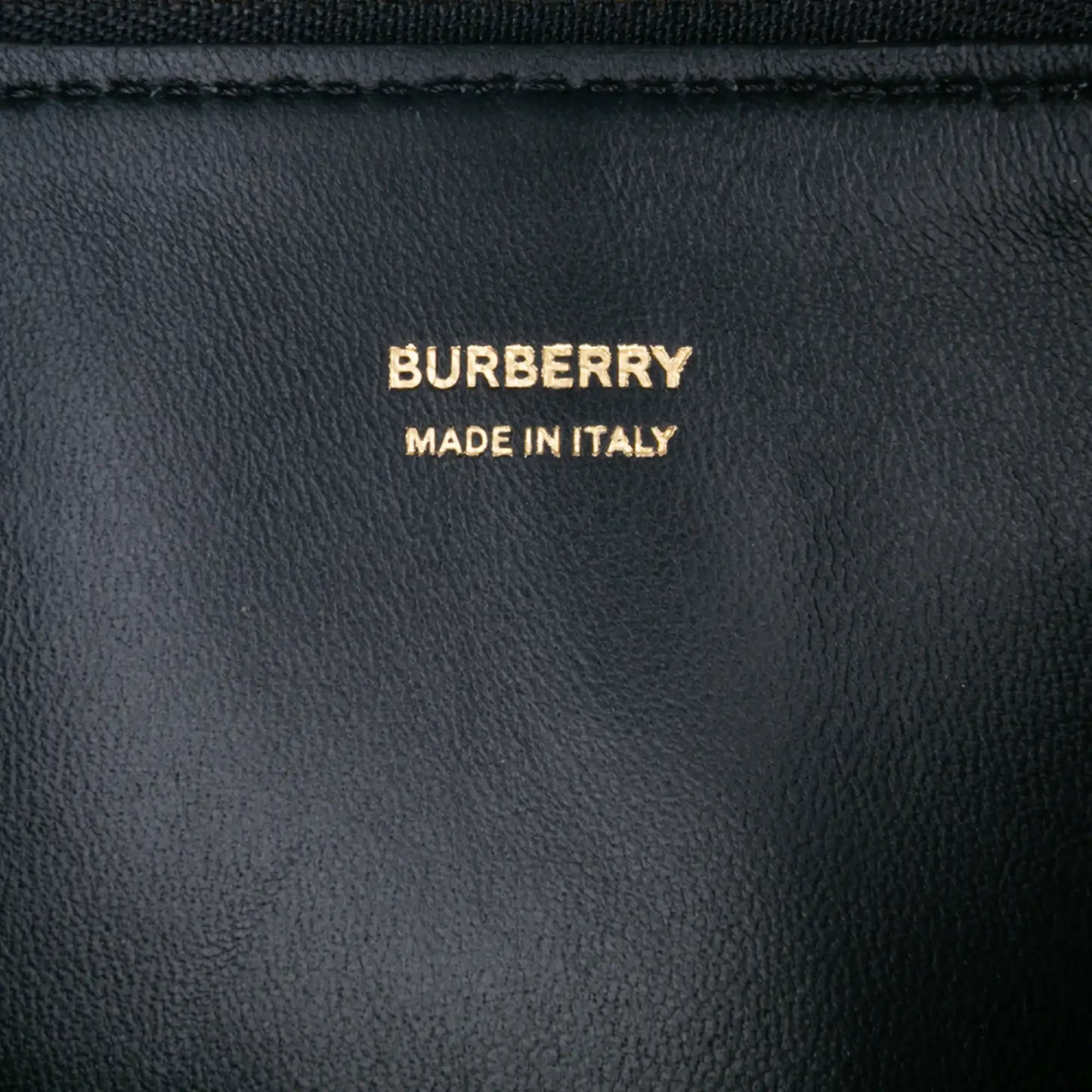 Burberry Mini Canvas Tiger Print Olympia Shoulder Bag