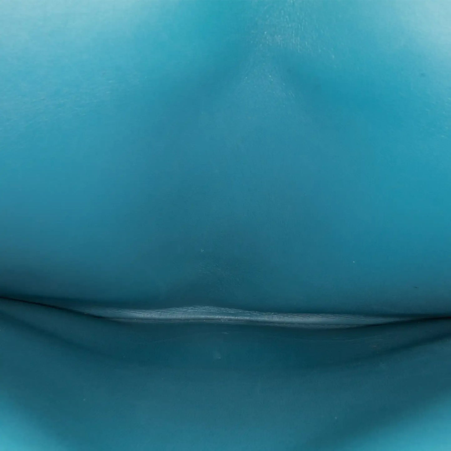 Chanel Jumbo Classic Lambskin Double Flap